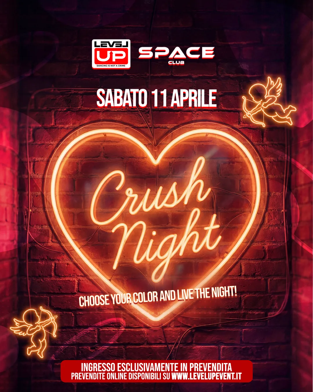 CRUSH NIGHT💌