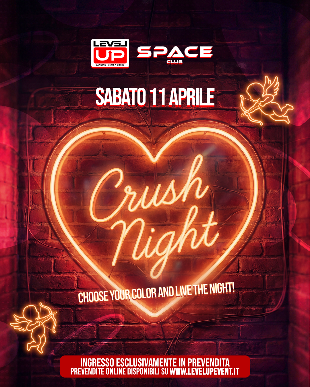 CRUSH NIGHT💌